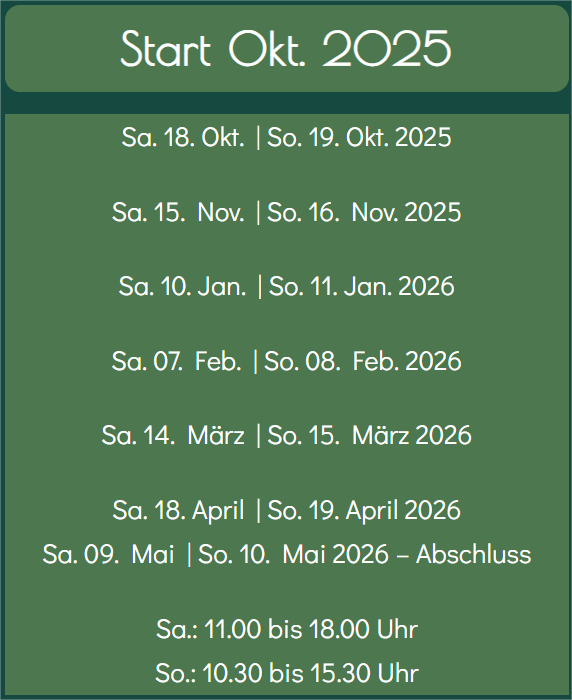 Modul Übersicht Pilates Ausbildung Österreich Okt. 2025